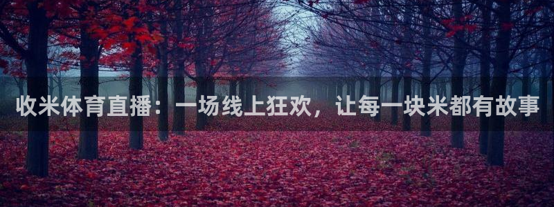 收米体育直播：一场线上狂欢，让每一块米都有故事