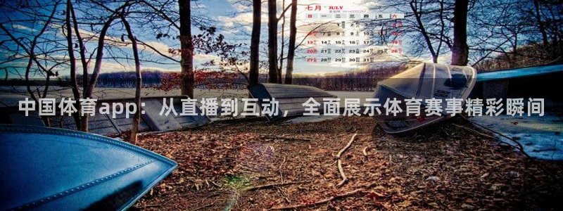 中国体育app：从直播到互动，全面展示体育赛事精彩瞬间