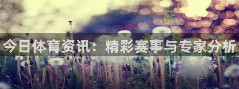 今日体育资讯：精彩赛事与专家分析