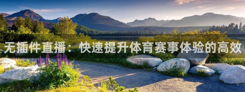 无插件直播：快速提升体育赛事体验的高效
